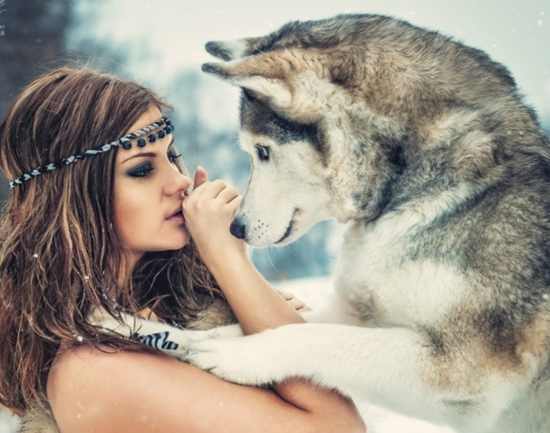 Обнимаю волка. Красивая девушка с волком. Волчица и девушка. Девочка и волк. Фотосет с волком.