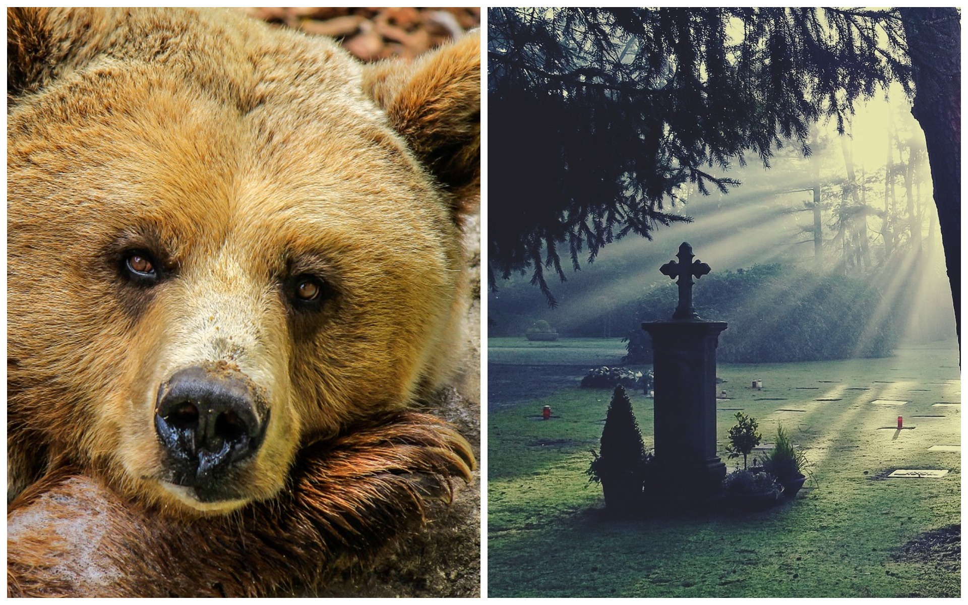 Светлана Афанасьева Певица Фото В Купальнике – Telegraph